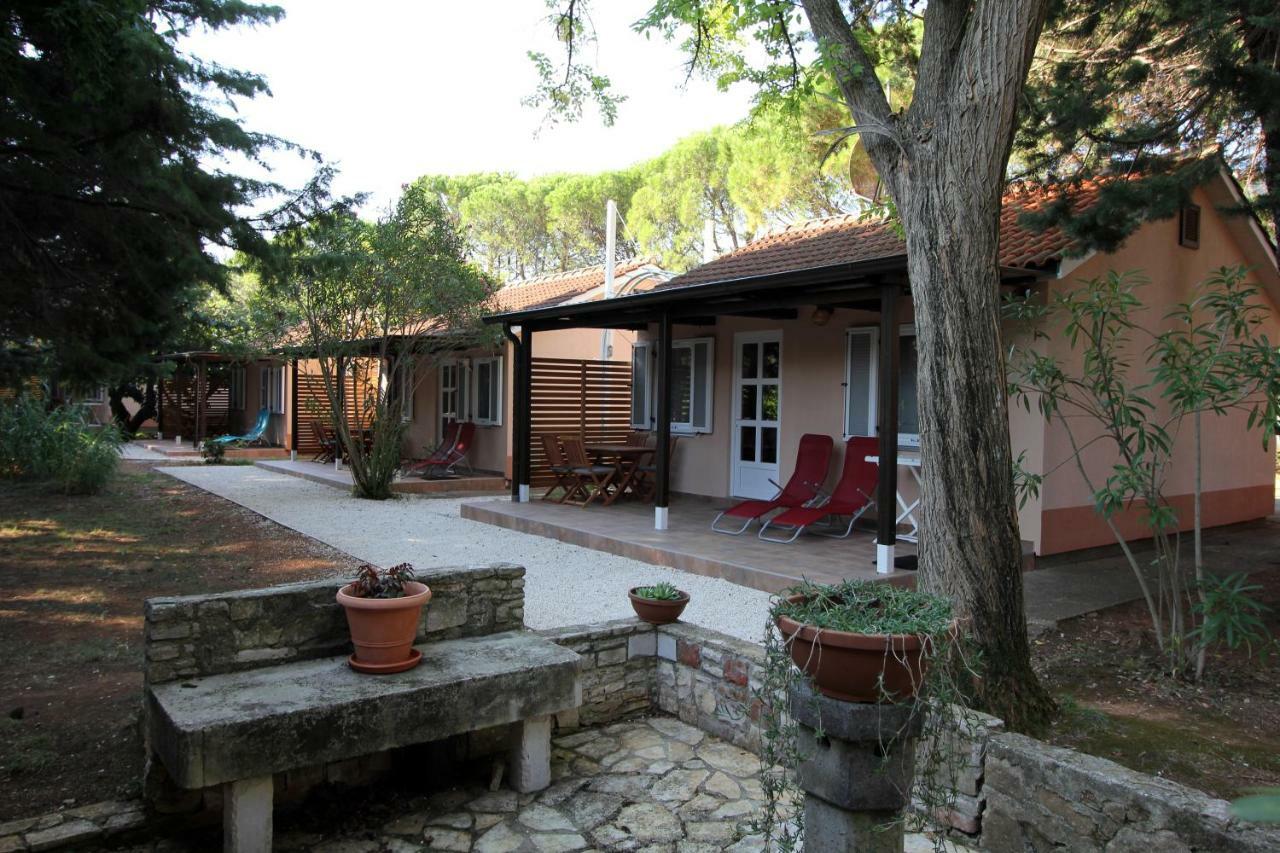 Comfort 100 M From The Premantura