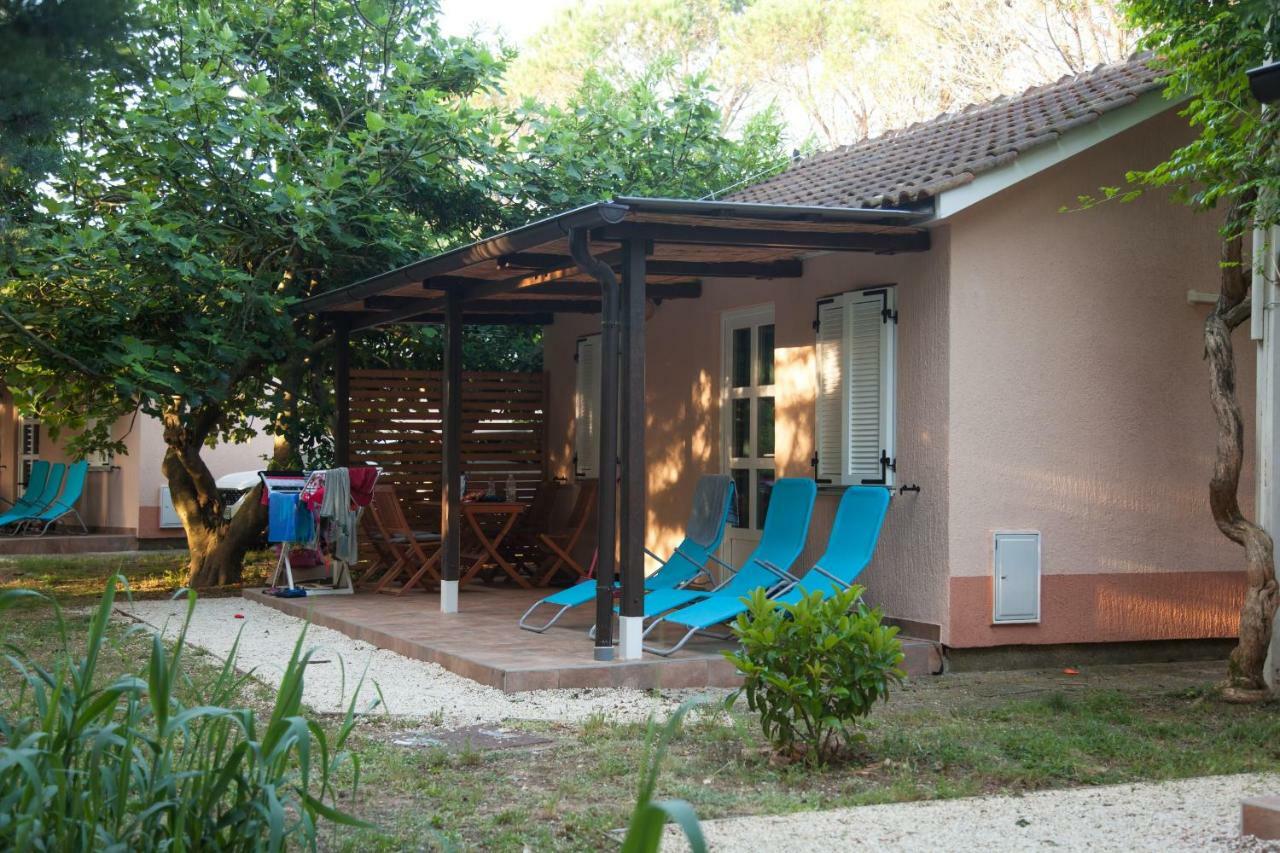 Campsite Comfort 100 M From The