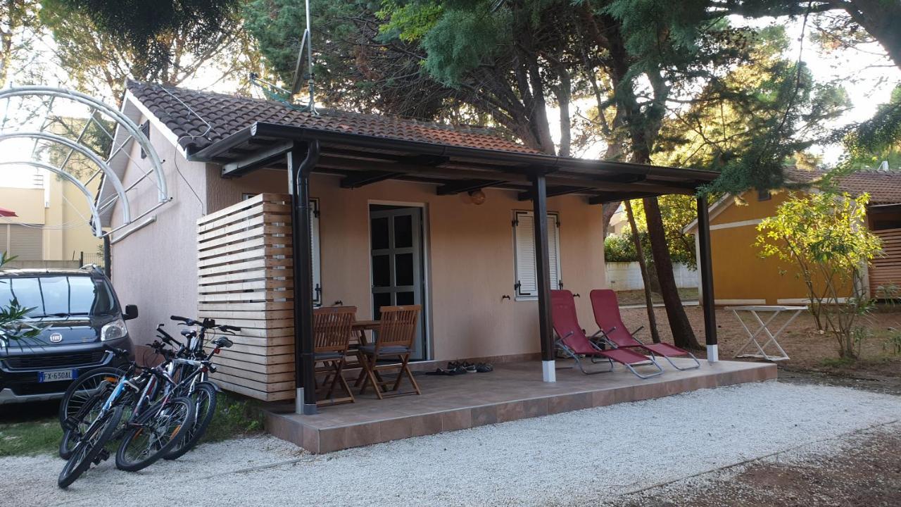 Comfort 100 M From The Premantura